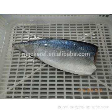 Νέα άφιξη Frozen Fish Mackerel Fillets για χονδρική πώληση